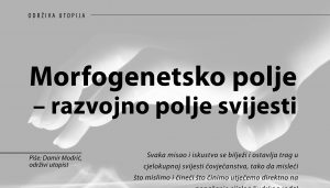 morfogenetsko polje